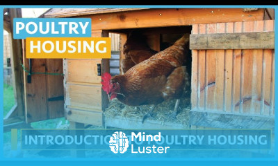 Poultry house construction