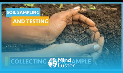 Soil health and testing