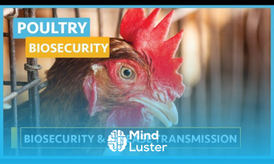 Poultry biosecurity