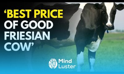 Dairy farming in kenya