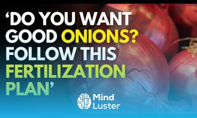 Onion farming for beginners