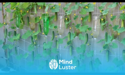 Recycling plastic barrel