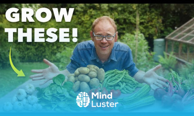 Bean growing at home