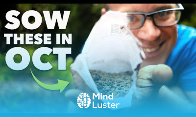 Growing ginger at home