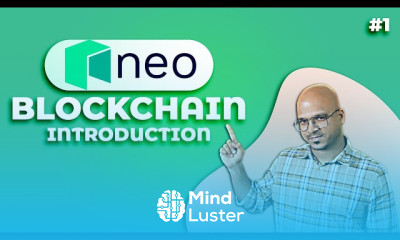Neo blockchain fundamentals