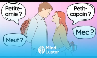 French vocabulary and sentences