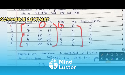 producer equilibrium