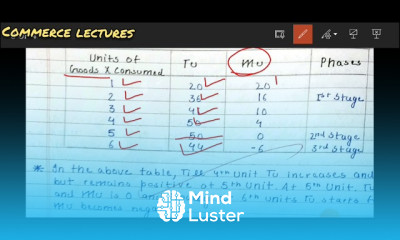 Consumer equilibrium