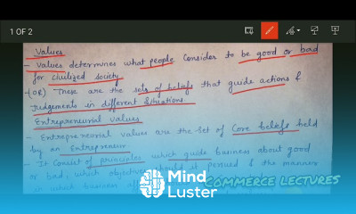 उद्यमशीलता मूल्य