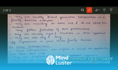 उद्यमिता के प्रकार