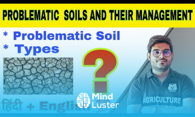 समस्याग्रस्त मिट्टी