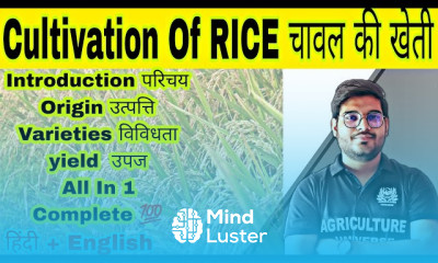 मक्का की खेती