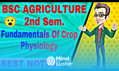 कृषि मृदा विज्ञान