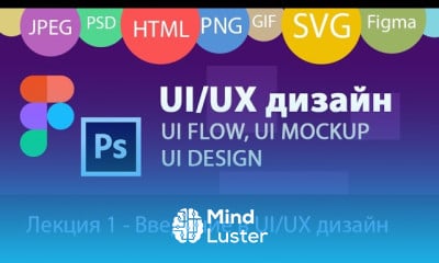 Основы UI UX дизайна