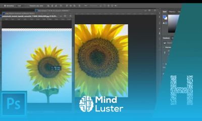 Основы работы с кистями в photoshop