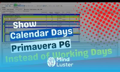 Create WBS from excel to primavera P6
