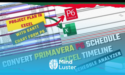 Primavera P6 tools for beginners