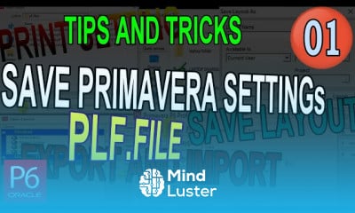Oracle primavera P6 solutions