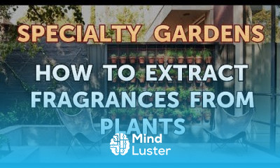 Growing mucuna pruriens