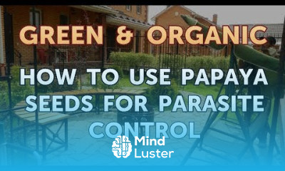 Create liquid mycorrhizal fertilizer