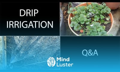 Drip irrigation watering system