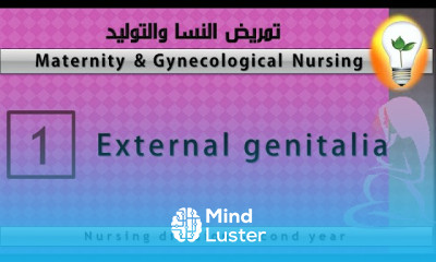 Maternity nursing