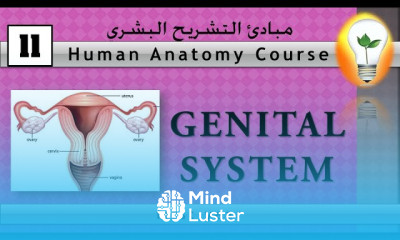 Principles of anatomy