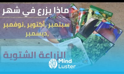 Growing strawberries from seeds