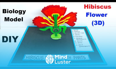 Making 3D hibiscus flower model