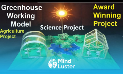 hydroponic farming working model