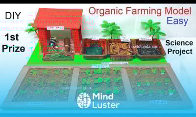 Hydroponics agriculture working model