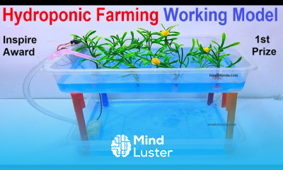 Making hydroponic farming working model