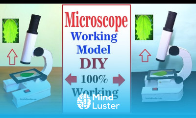 Microscope working model