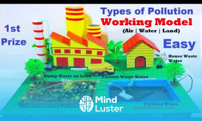 Air pollution working model with lights