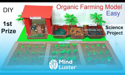 organic farming model making