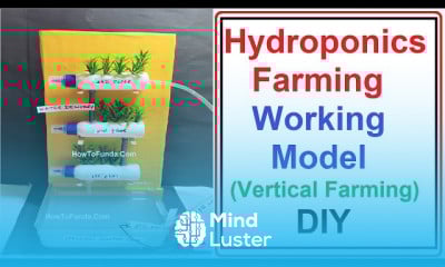 Hydroponics farming working model