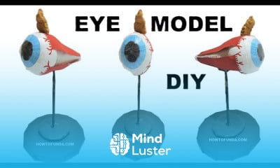 Human eye working model 3d making
