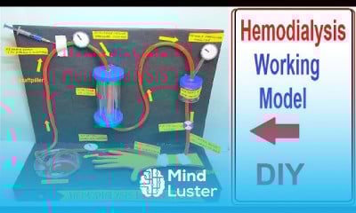 Making dialysis working model