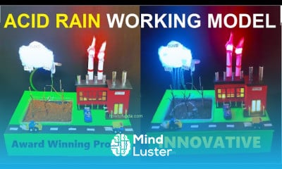 Acid rain working model 3d making