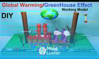 Making ecosystem animal pyramid model