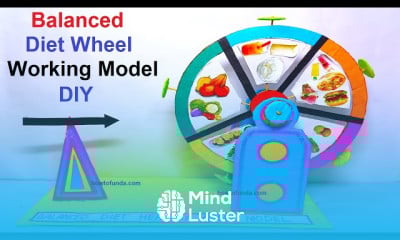 Making balanced diet wheel model
