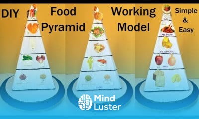 Food Pyramid working model 3d making