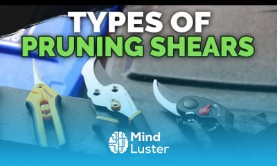 Essential gardening tools