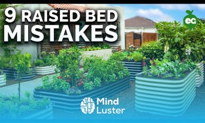 Raised bed gardens