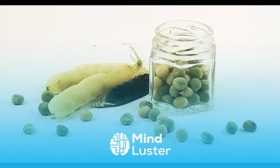 Saving seeds using the ancient winnowing