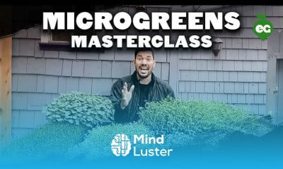 Growing microgreens from start
