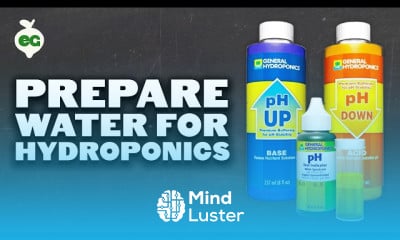 Preparation water for hydroponics