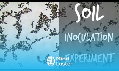 How to test and measure soil pH