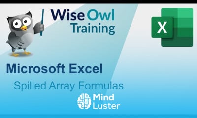 Formulas and basic functions in excel