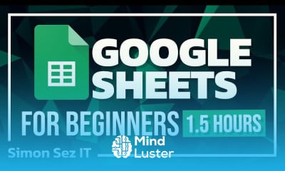 Google sheets basics
